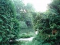 /album/fotogaleria-priroda/nitriansky-park-sihot-2-jpg/